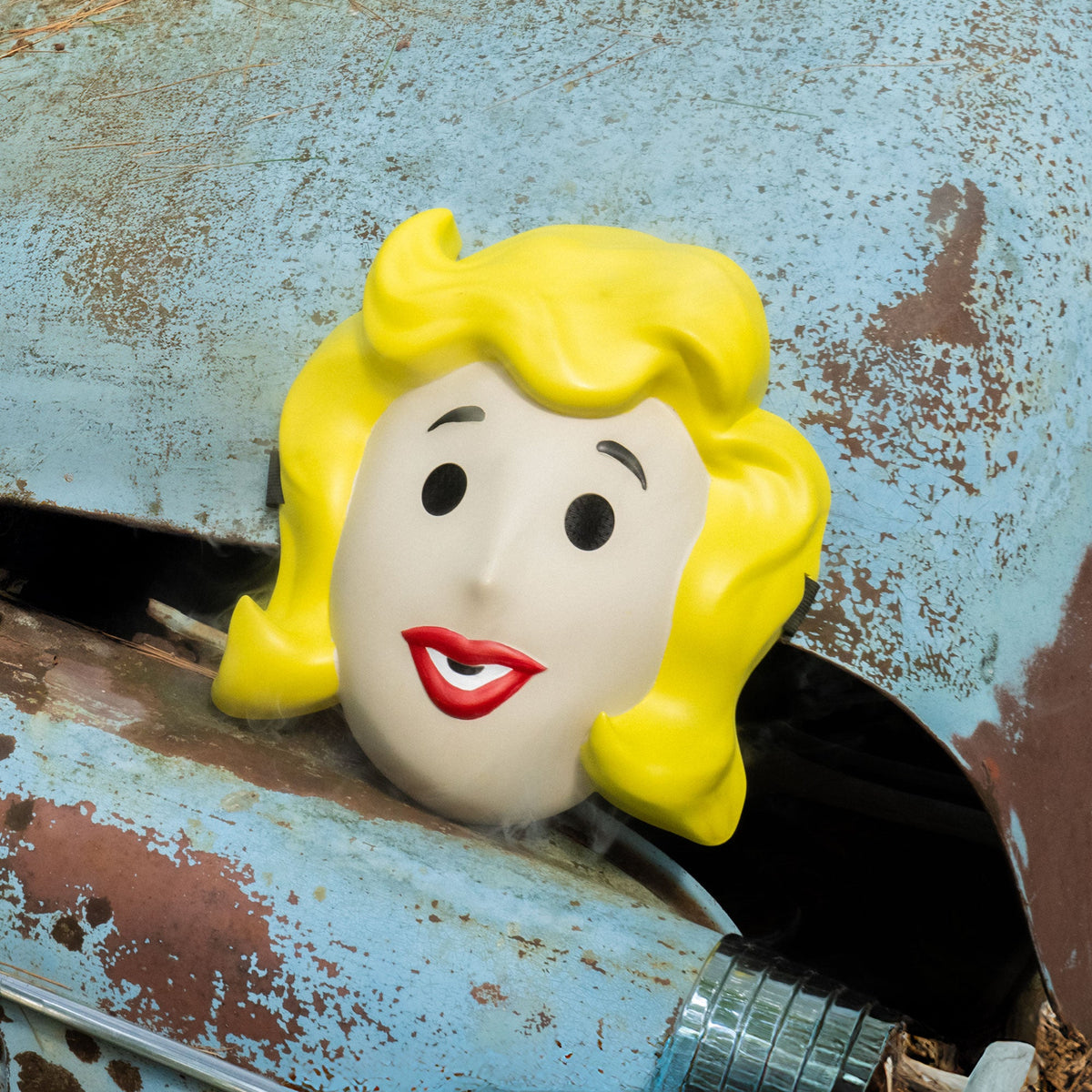 Fallout Vault Girl Bundle