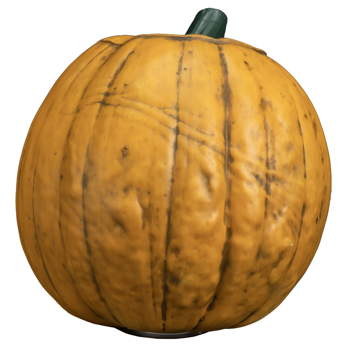 Sleepy Hollow - Light up Pumpkin Prop
